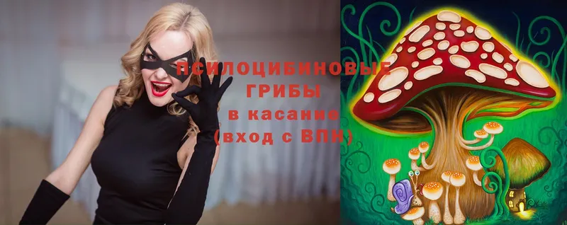 Псилоцибиновые грибы Magic Shrooms  kraken сайт  Переславль-Залесский 